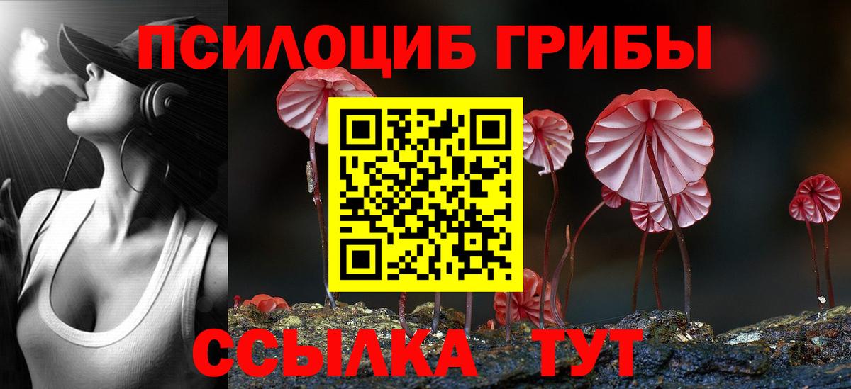 Щёлково  Галлюциногенные грибы Magic Shrooms  Вход с VPN 